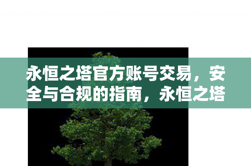 永恒之塔账号交易安全与合规指南图片