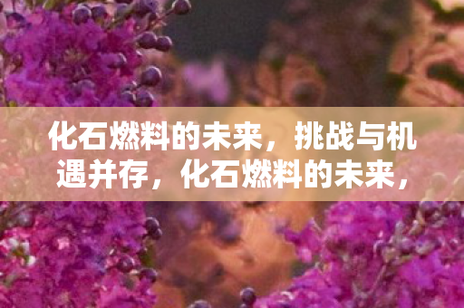 化石燃料的未来图片
