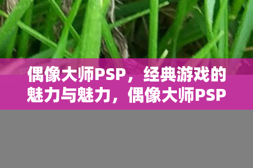 经典游戏魅力与魅力展现图片