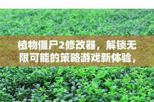 解锁无限可能的策略游戏新体验图片