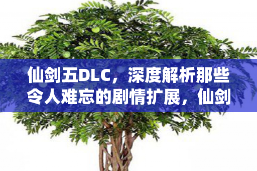 深度解析那些令人难忘的剧情扩展图片