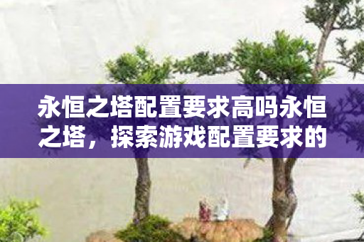 永恒之塔配置要求高吗永恒之塔图片