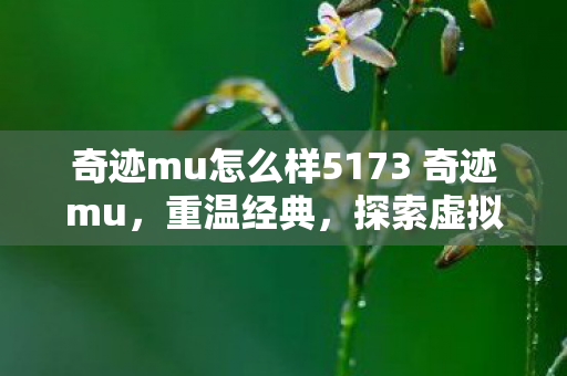 奇迹mu怎么样5173 奇迹mu图片