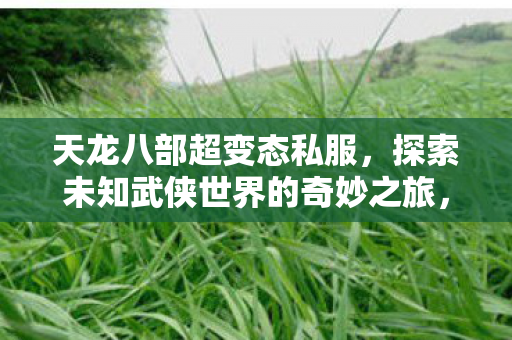 探索未知武侠世界的奇妙之旅图片