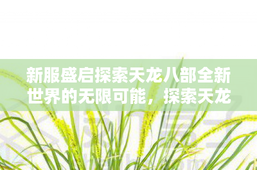 新服盛启探索天龙八部全新世界的无限可能图片