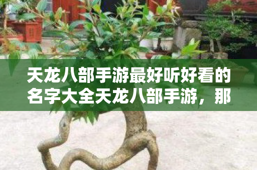 天龙八部手游最好听好看的名字大全天龙八部手游图片