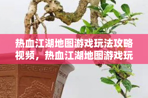 热血江湖地图游戏玩法攻略视频，热血江湖地图游戏玩法全解析