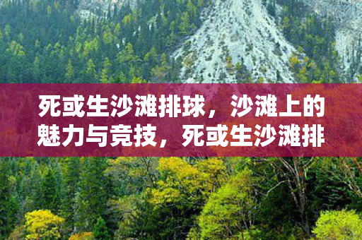 死或生沙滩排球，沙滩上的魅力与竞技，死或生沙滩排球，沙滩上的魅力与竞技