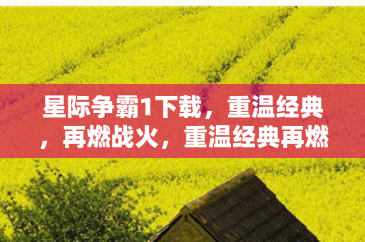 星际争霸1下载，重温经典，再燃战火，重温经典再燃战火，星际争霸1下载