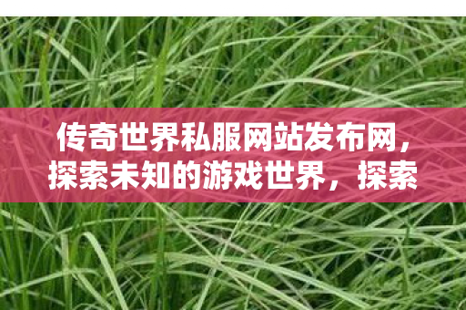 传奇世界私服网站发布网图片