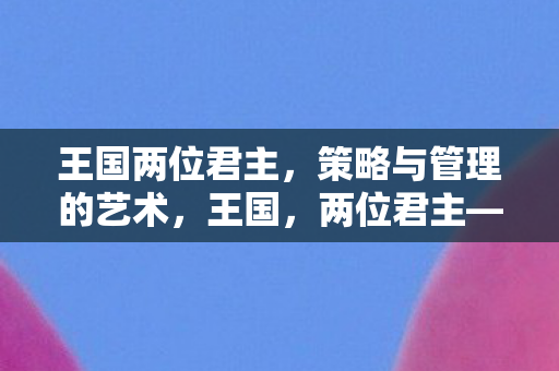 王国两位君主,策略与管理的艺术,王国,两位君主——策略与管理的艺术 王国两位君主,策略与管理的艺术,王国,两位君主——策略与管理的艺术