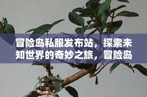 开启探索未知世界的奇妙之旅图片