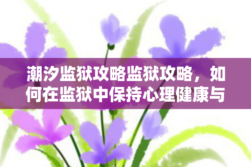 如何在监狱中保持心理健康与适应环境图片