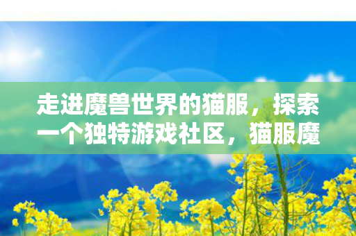 探索一个独特游戏社区图片