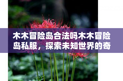木木冒险岛合法吗木木冒险岛私服图片