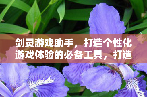 打造个性化游戏体验的必备工具图片