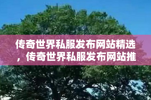 传奇世界私服发布网站精选图片