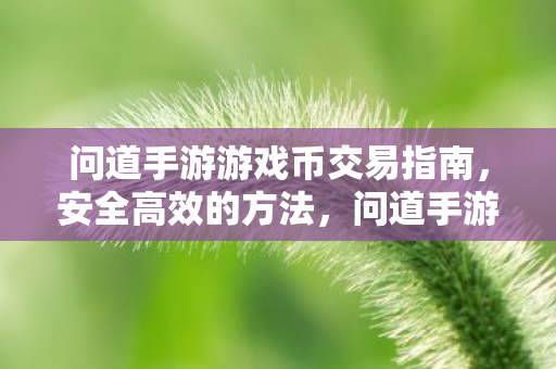 问道手游游戏币交易指南,安全高效的方法,问道手游游戏币交易安全高效指南 问道手游游戏币交易指南,安全高效的方法,问道手游游戏币交易安全高效指南