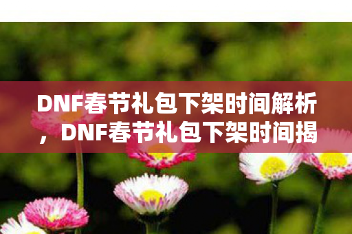 DNF春节礼包下架时间解析图片