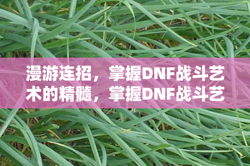掌握DNF战斗艺术的精髓图片