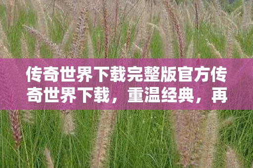 传奇世界下载完整版官方传奇世界下载图片