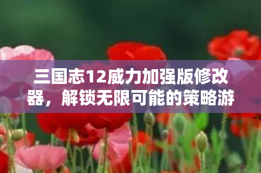 三国志12威力加强版修改器图片