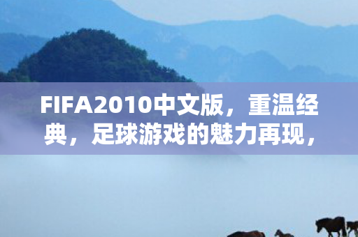 FIFA2010中文版图片