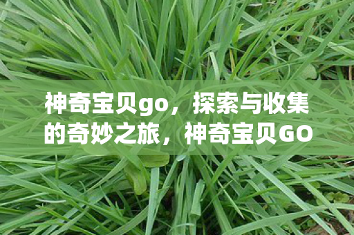 探索与收集的奇妙之旅图片