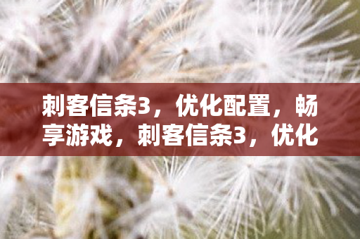 打造流畅游戏体验图片