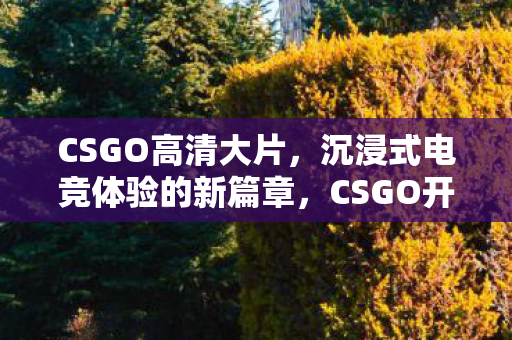 CSGO开启高清大片时代图片