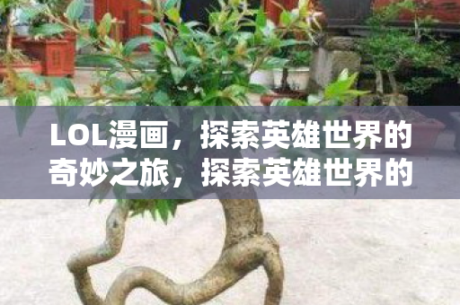 探索英雄世界的奇妙之旅图片