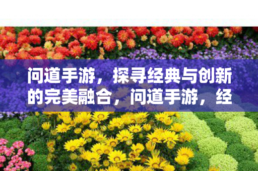 问道手游,探寻经典与创新的完美融合,问道手游,经典与创新完美融合之旅 问道手游,探寻经典与创新的完美融合,问道手游,经典与创新完美融合之旅