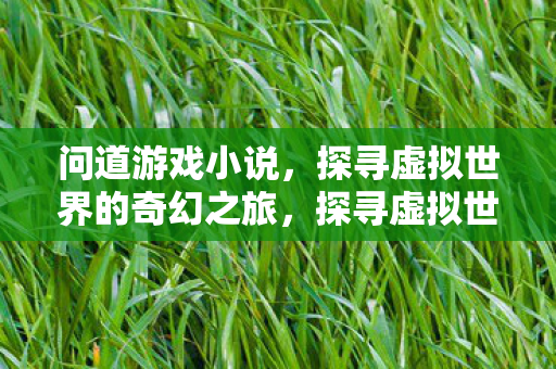问道游戏小说,探寻虚拟世界的奇幻之旅,探寻虚拟世界的奇幻之旅,问道游戏小说 问道游戏小说,探寻虚拟世界的奇幻之旅,探寻虚拟世界的奇幻之旅,问道游戏小说