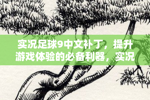 提升游戏体验的必备利器图片