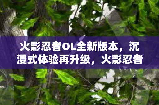 火影忍者OL全新版本图片