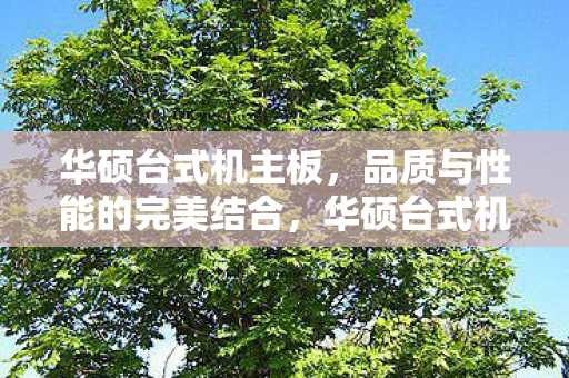 品质与性能的完美结合图片