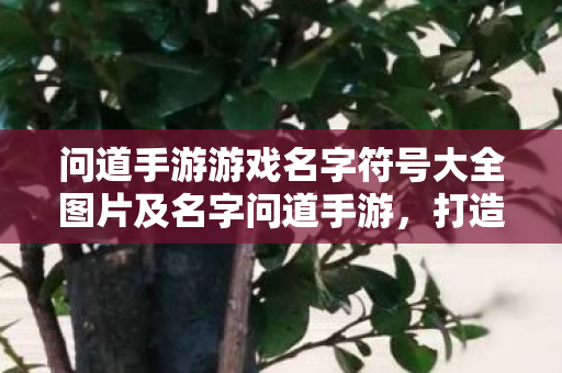 问道手游游戏名字符号大全图片及名字问道手游,打造独特游戏昵称,符号与创意的碰撞,问道手游,打造独特游戏昵称,符号与创意的碰撞 问道手游游戏名字符号大全图片及名字问道手游,打造独特游戏昵称,符号与创意的碰撞,问道手游,打造独特游戏昵称,符号与创意的碰撞