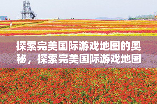 探索完美国际游戏地图的奥秘图片