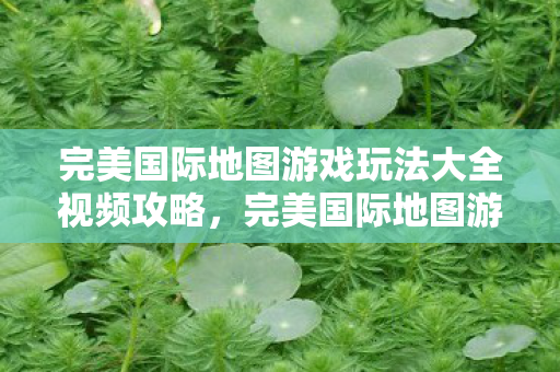 完美国际地图游戏玩法大全视频攻略图片
