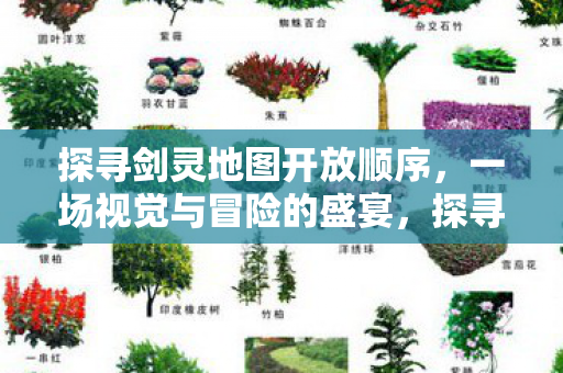 探寻剑灵地图开放顺序图片