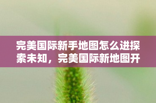 完美国际新手地图怎么进探索未知图片