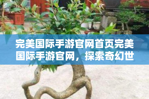 完美国际手游官网首页完美国际手游官网图片