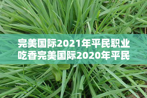 完美国际2021年平民职业吃香完美国际2020年平民职业吃香图片