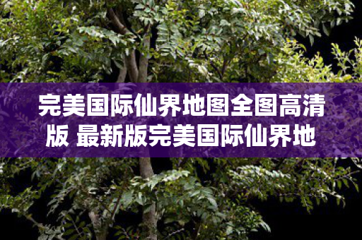 完美国际仙界地图全图高清版 最新版完美国际仙界地图图片