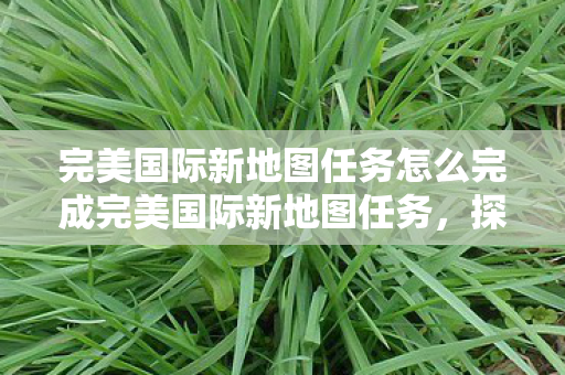 完美国际新地图任务怎么完成完美国际新地图任务图片