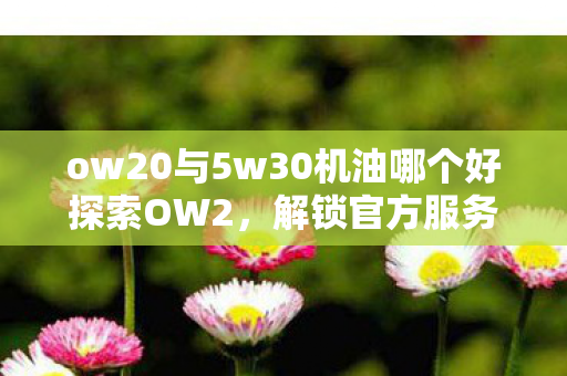 ow20与5w30机油哪个好探索OW2，解锁官方服务器的无限可能，OW2机油与5W30机油对比，哪个更好？