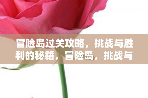 挑战与胜利的通关秘籍图片