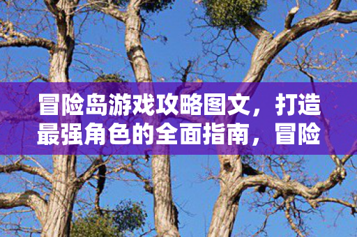 冒险岛游戏打造最强角色全面攻略图片