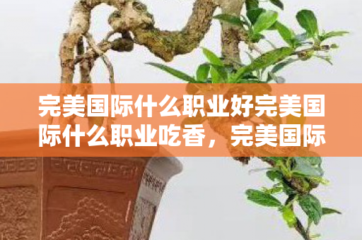 完美国际什么职业好完美国际什么职业吃香图片