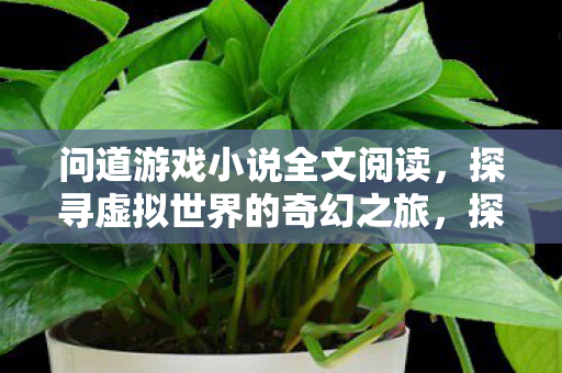 问道游戏小说全文阅读,探寻虚拟世界的奇幻之旅,探寻虚拟世界的奇幻之旅,问道游戏小说全文阅读 问道游戏小说全文阅读,探寻虚拟世界的奇幻之旅,探寻虚拟世界的奇幻之旅,问道游戏小说全文阅读
